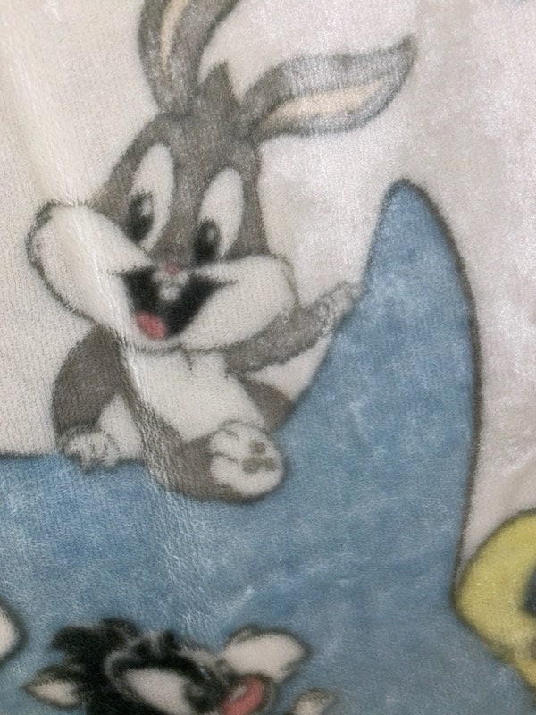 Vintage Baby Looney Tunes Blanket Star Bugs Bunny Taz Junior Vintage Baby Looney Tunes Blanket Star Bugs Bunny Taz Junior