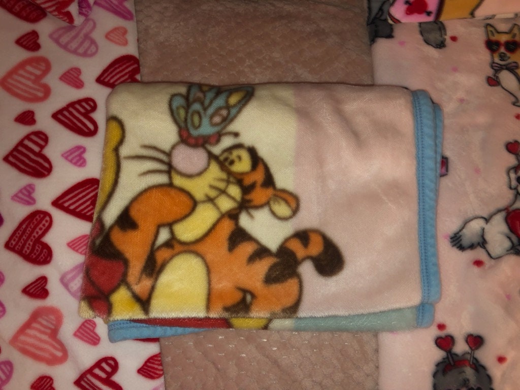 Vintage Winnie the Pooh Baby Blanket Tigger Butterfly on Nose Piglet Hugging Pooh Blue Yellow Pink Butterfly One Honey Pot Bumble Bee ECU Etsy Canada