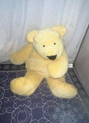 North american bear - Etsy 日本