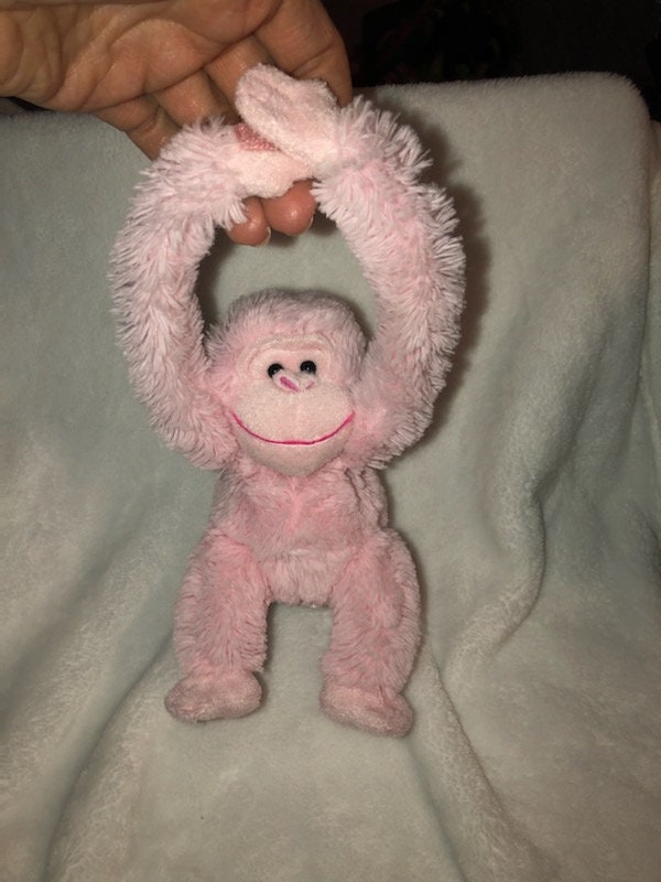 pink stuffed monkey