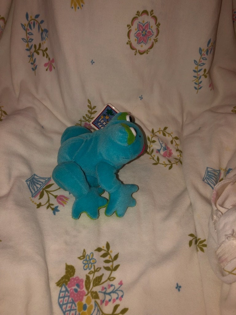 ヴィンテージ フロッピー フレンズ カエルのぬいぐるみ 名前は Leap