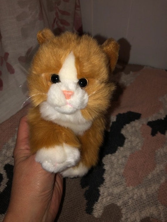 Vintage Animal Alley Cat Plush Orange White Kitten ECU 9 - Etsy Norway Vintage Animal Alley Cat Plush Orange White Kitten ECU 9 - Etsy Norway