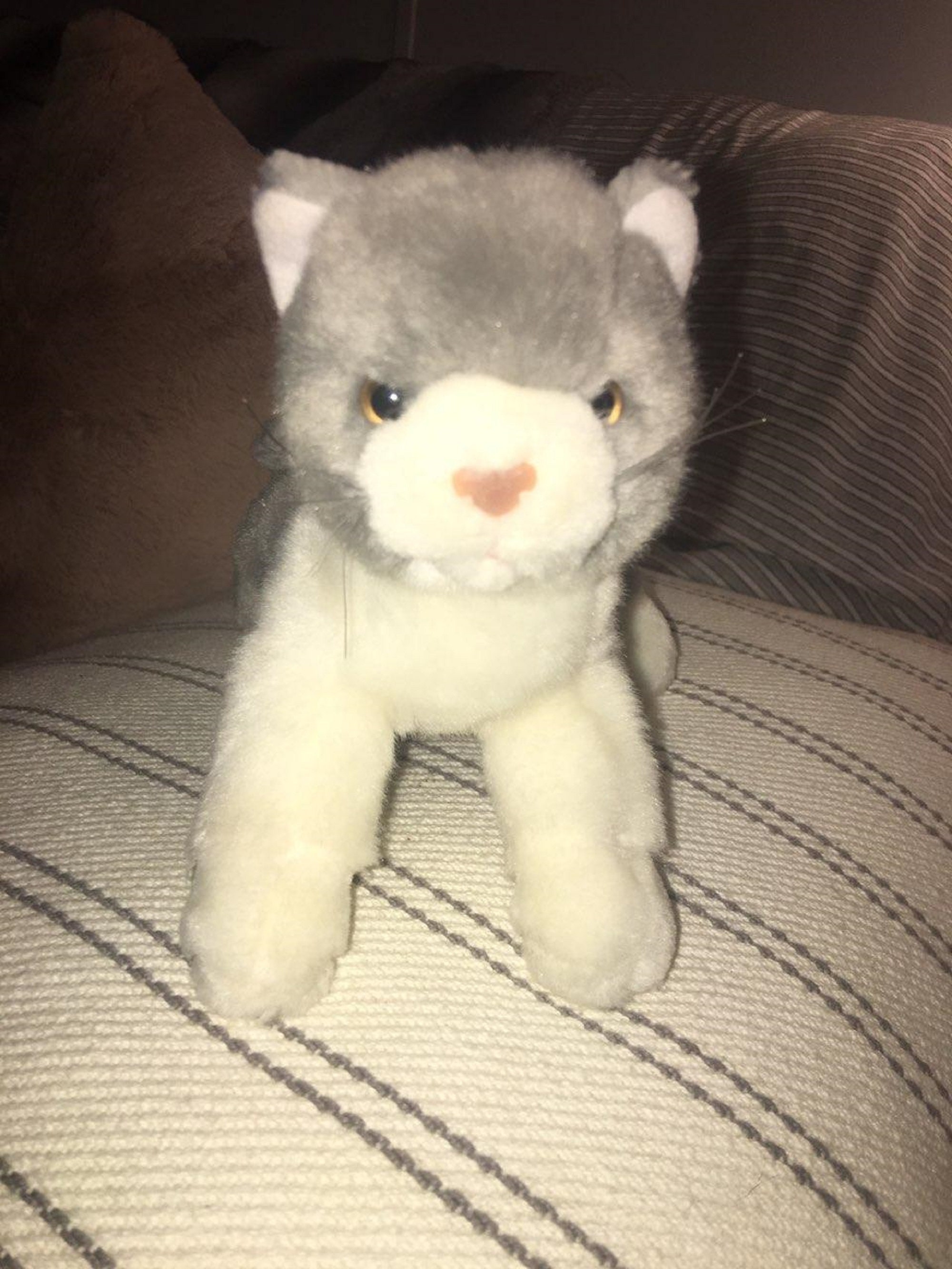 Gray and white stuffed cat hotsell
