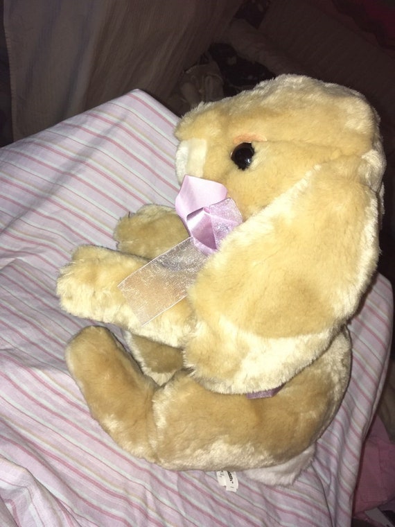 Commonwealth stuffed shop bunny