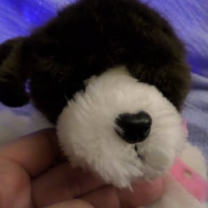 Puppy Puppy Surprise Dog plush Brown & white pink bow blue eyes Kitty Kitty kitten friends By Tyco 1993