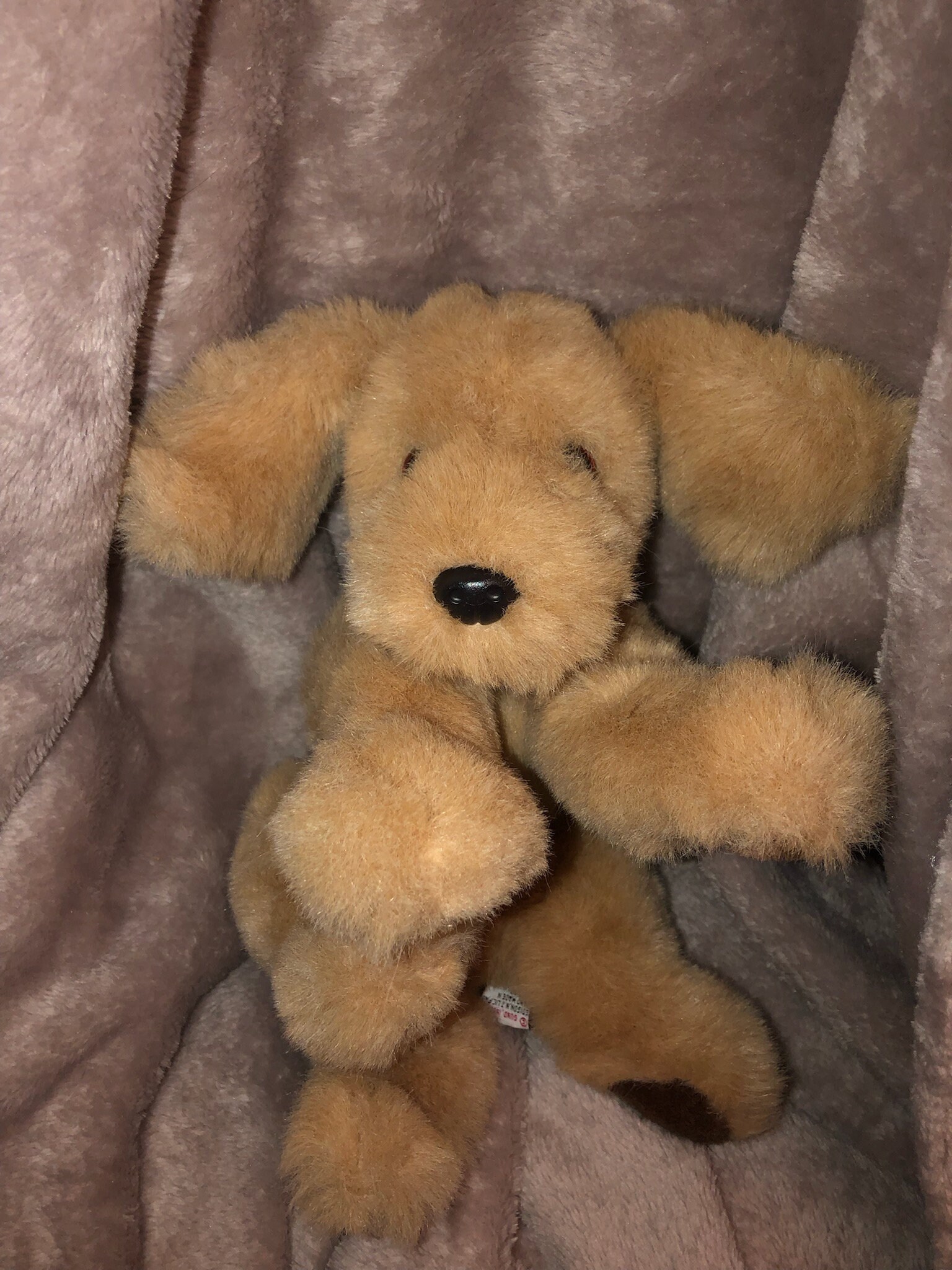 Vintage Gund Muttsy Dog Plush Puppy 9 Version ECU Small - Etsy UK Vintage Gund Muttsy Dog Plush Puppy 9 Version ECU Small - Etsy UK