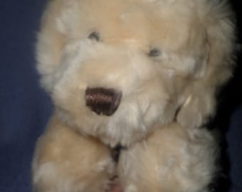 May include: A plush cream-colored dog toy with a brown nose and black eyes.