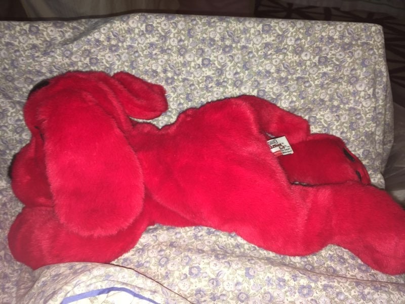 Vintage Clifford the Big Red Dog plush Side Kicks Scholastic | Etsy