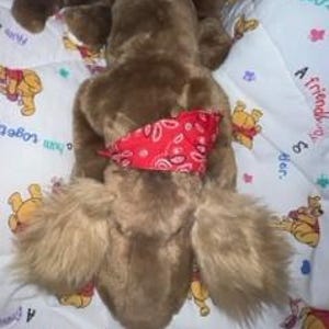May include: Brown plush dog toy with floppy ears and a red bandana. The dog is lying on its back with its paws in the air.