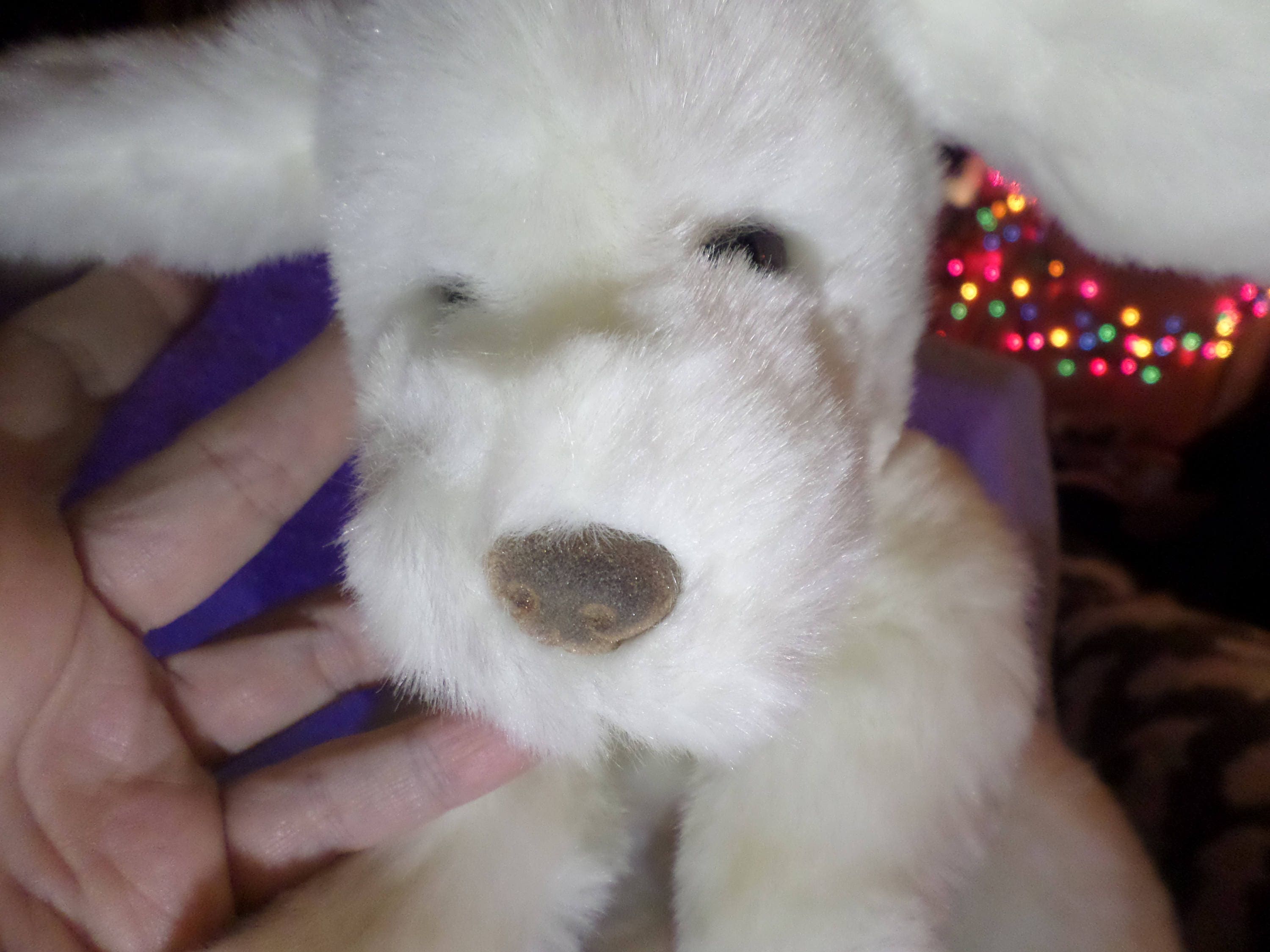 Vintage Gund Muttsy White Plush Puppy Dog Rare Flocked Nose - Etsy Vintage Gund Muttsy White Plush Puppy Dog Rare Flocked Nose - Etsy