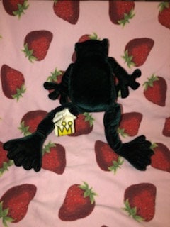 THE MANHATTAN TOY COMPANY ぬいぐるみ カエル Manhattan Toy Wobbly Bobbly Frog Weighted, Soft Silicone