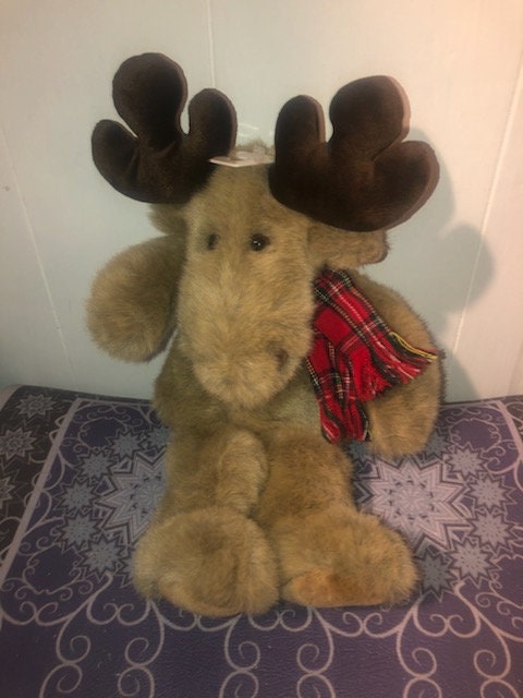 chocolate moose teddy