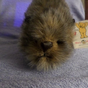 May include: A close-up of a brown and grey plush toy with a black nose and a furry face. The toy is lying on a light purple fabric.