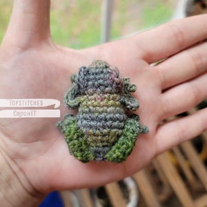 Puede incluir: Una pequeña rana de ganchillo hecha a mano en tonos verdes, grises y rosas. La rana está detallada con puntadas texturizadas y tiene una apariencia caprichosa. El texto "Topstitches Crochet" está en una pancarta blanca.