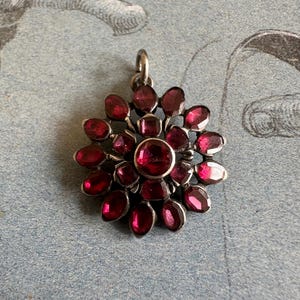 May include: A silver pendant with a floral design. The pendant features a central, round, red gemstone surrounded by numerous oval-shaped, red gemstones. The pendant is set against a light blue background with a faint illustration.