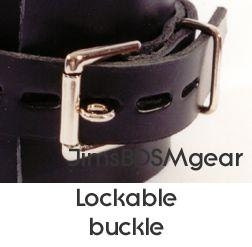 Ankle Restraints Lined Unlined Locking Non Locking 12 From Which to ...