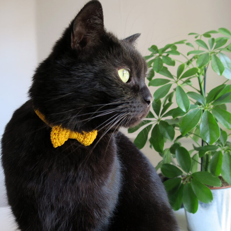 Yellow Crochet Cat Collar Adjustable Cat Bow Tie Collar Etsy