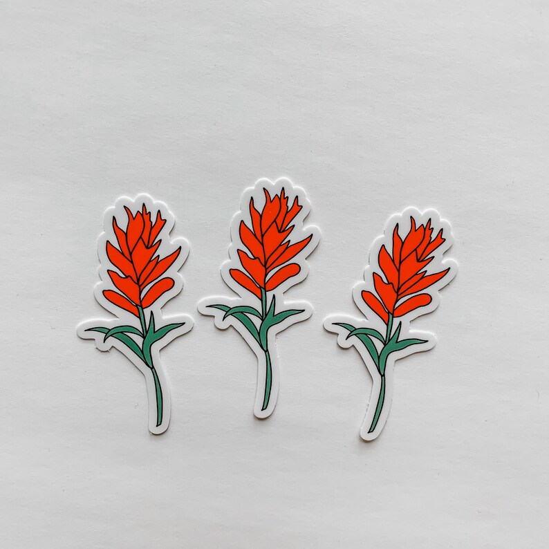 Indian Paintbrush Sticker Decal Vinyl RV Decal Car Decal Etsy