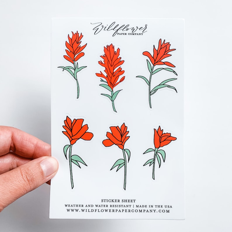 Indian Paintbrush Flower Sticker Sheet Decal Vinyl RV Decal Etsy