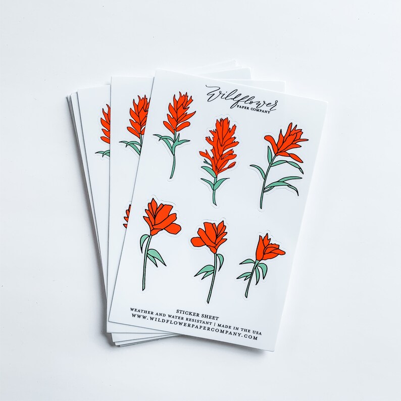 Indian Paintbrush Flower Sticker Sheet Decal Vinyl RV Decal Etsy