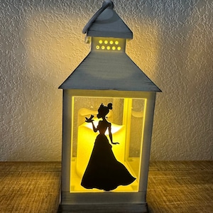 Large lantern Princess and the Frog