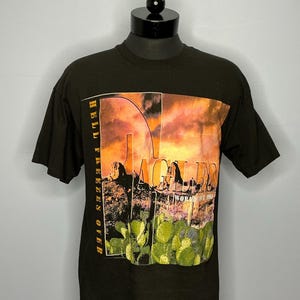 Vintage Eagles 1995 Hell Freezes Over World Tour T-Shirt 90’s XL