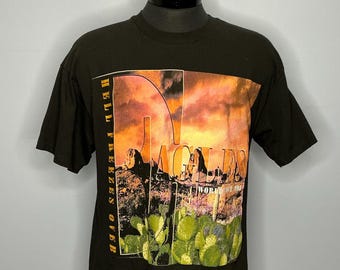 EAGLES HELL FREEZES OVER 1995 Tシャツ L 90s Vintage Eagles 1995 Hell Freezes Over World Tour T-shirt 90's XL