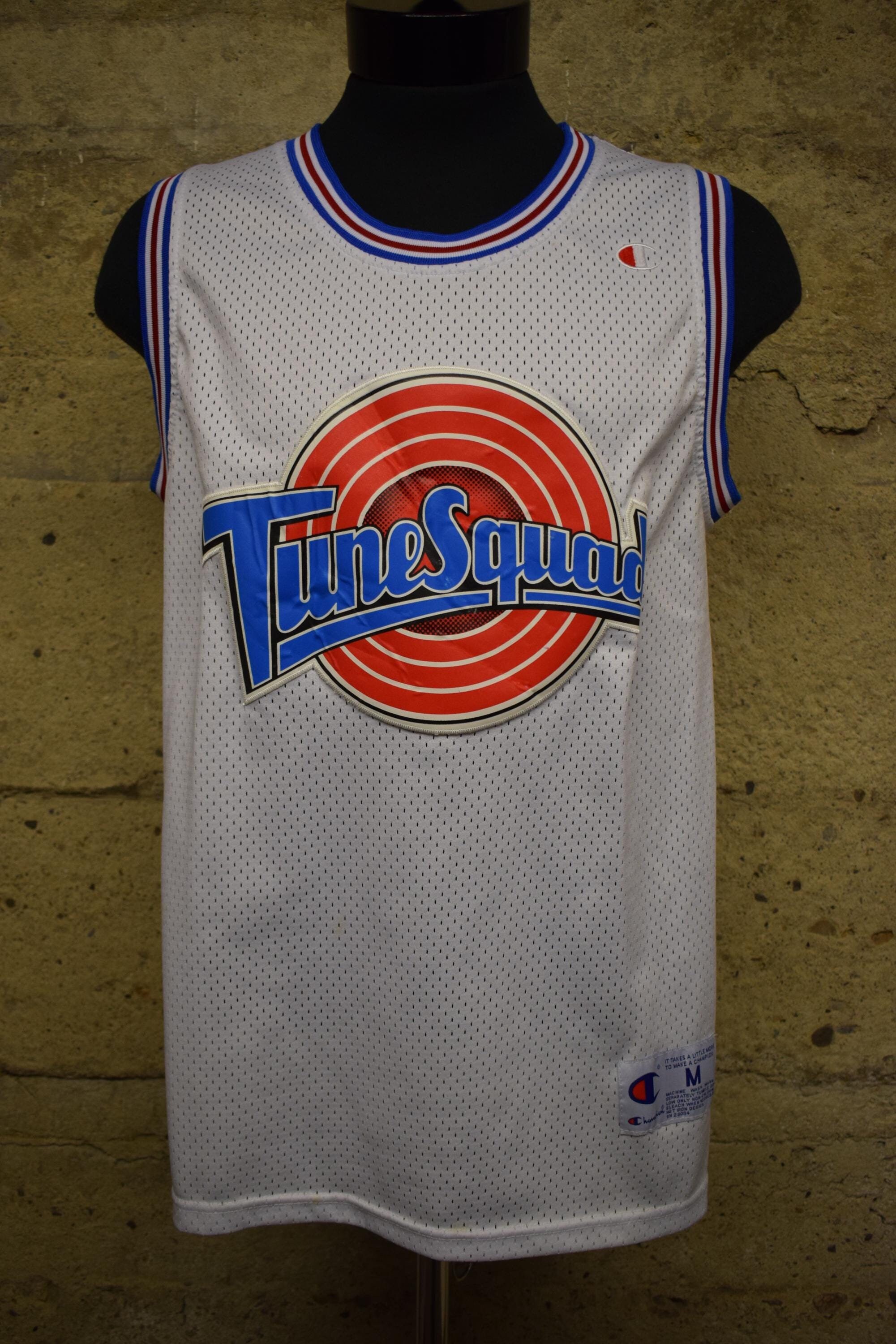 Vintage Tune Squad Cartoon Taz Champion Basketball Jersey 90's