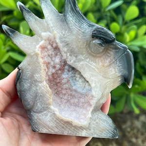 Pode incluir: Uma geoda de &aacute;gata esculpida em forma de cabe&ccedil;a de p&aacute;ssaro. A geoda &eacute; branca com detalhes cinzentos e pretos. O interior da geoda &eacute; de cor castanho-avermelhada.