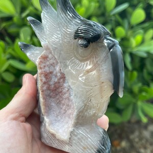 Pode incluir: Uma escultura de cacatua talhada em &aacute;gata com um corpo branco e cinza, olhos pretos e um bico preto. A escultura &eacute; parcialmente oca, revelando um interior de &aacute;gata rosa e branco.