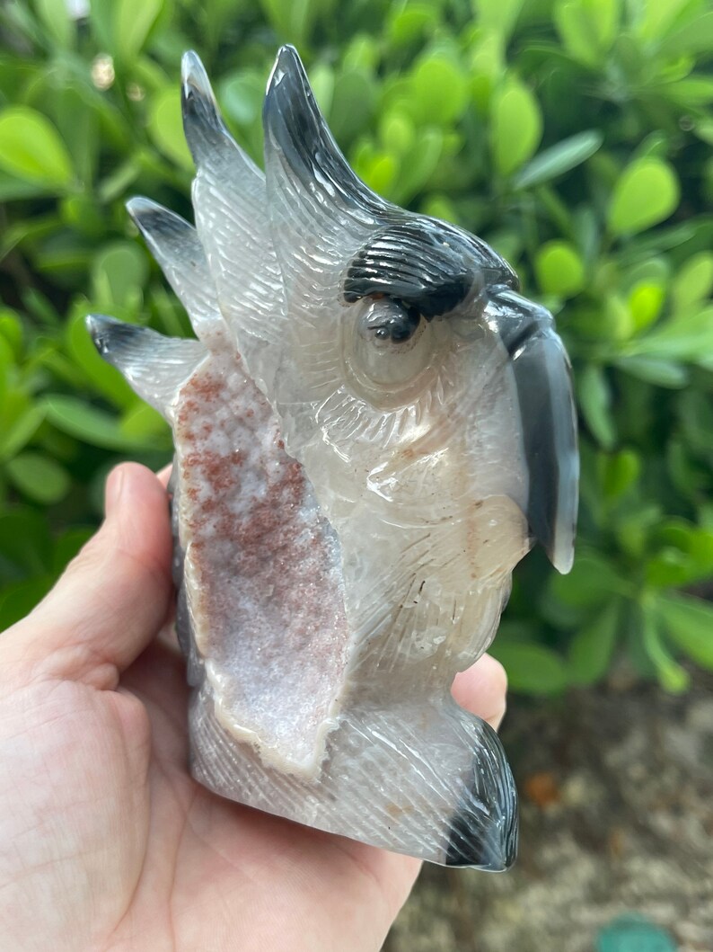 Pode incluir: Uma escultura de cacatua talhada em &aacute;gata com um corpo branco e cinza, olhos pretos e um bico preto. A escultura &eacute; parcialmente oca, revelando um interior de &aacute;gata rosa e branco.