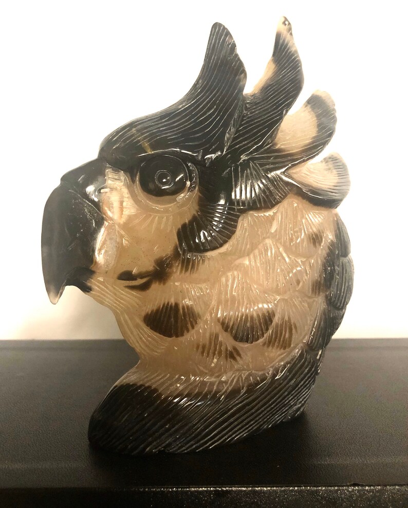 Pode incluir: Uma escultura de p&aacute;ssaro talhada, transl&uacute;cida, de cor castanho claro e preto com um design detalhado. A cabe&ccedil;a do p&aacute;ssaro est&aacute; virada para o lado e seu olho &eacute; vis&iacute;vel.