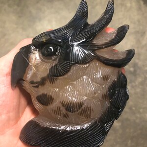 Pode incluir: Uma escultura de &aacute;gata esculpida de uma cabe&ccedil;a de p&aacute;ssaro com marcas pretas e brancas. O p&aacute;ssaro tem uma crista grande e um bico detalhado.