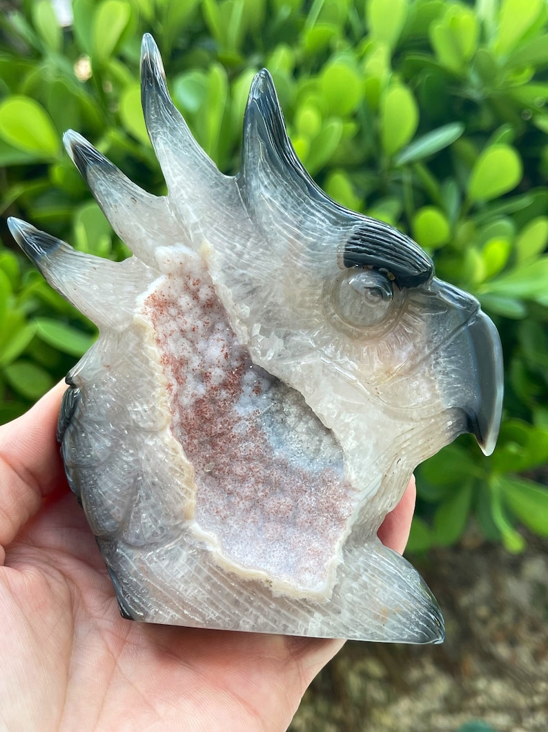 Pode incluir: Uma geoda de &aacute;gata esculpida em forma de cabe&ccedil;a de p&aacute;ssaro. A geoda &eacute; branca com detalhes cinzentos e pretos. O interior da geoda &eacute; de cor castanho-avermelhada.