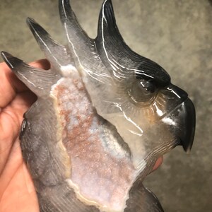 Pode incluir: Uma cabe&ccedil;a de cacatua esculpida em &aacute;gata com um corpo claro e transl&uacute;cido e uma cabe&ccedil;a preta. A &aacute;gata tem uma forma&ccedil;&atilde;o natural, semelhante a um cristal, com uma cavidade oca na parte de tr&aacute;s.