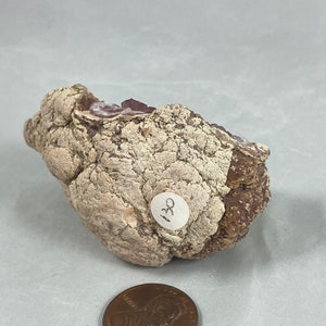 May include: A small, irregularly shaped rock with a rough, textured surface. The rock is mostly white with brown and purple accents. A white sticker with the number "130" is attached to the rock.