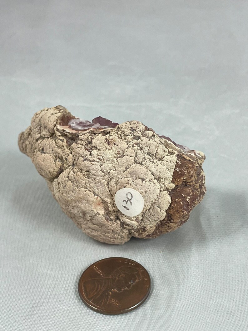 May include: A small, irregularly shaped rock with a rough, textured surface. The rock is mostly white with brown and purple accents. A white sticker with the number "130" is attached to the rock.
