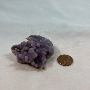 K&ouml;nnte beinhalten: Eine violette Achat-Geode mit einem Cluster kleiner, runder Kn&ouml;tchen. Die Geode ist etwa so gro&szlig; wie ein deutscher Cent.