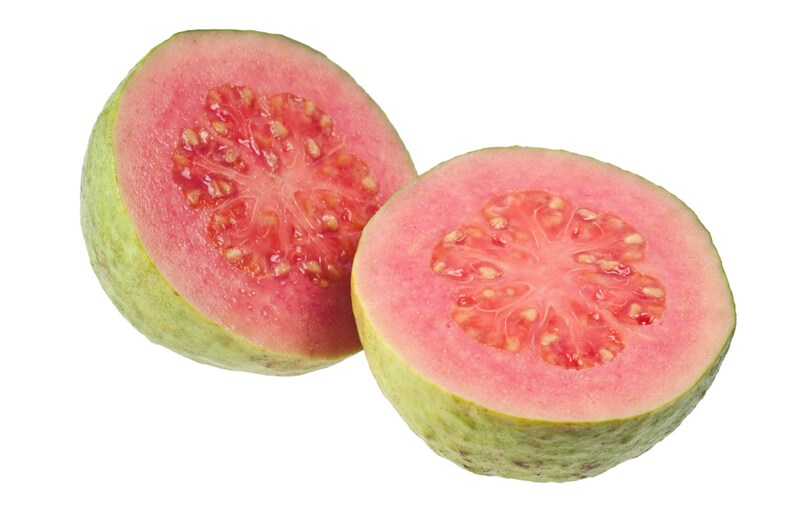 Feijoa Feihoa Acca Sellowiana Myrtaceae Pineapple Guava Guavasteen Seeds 10 PCS