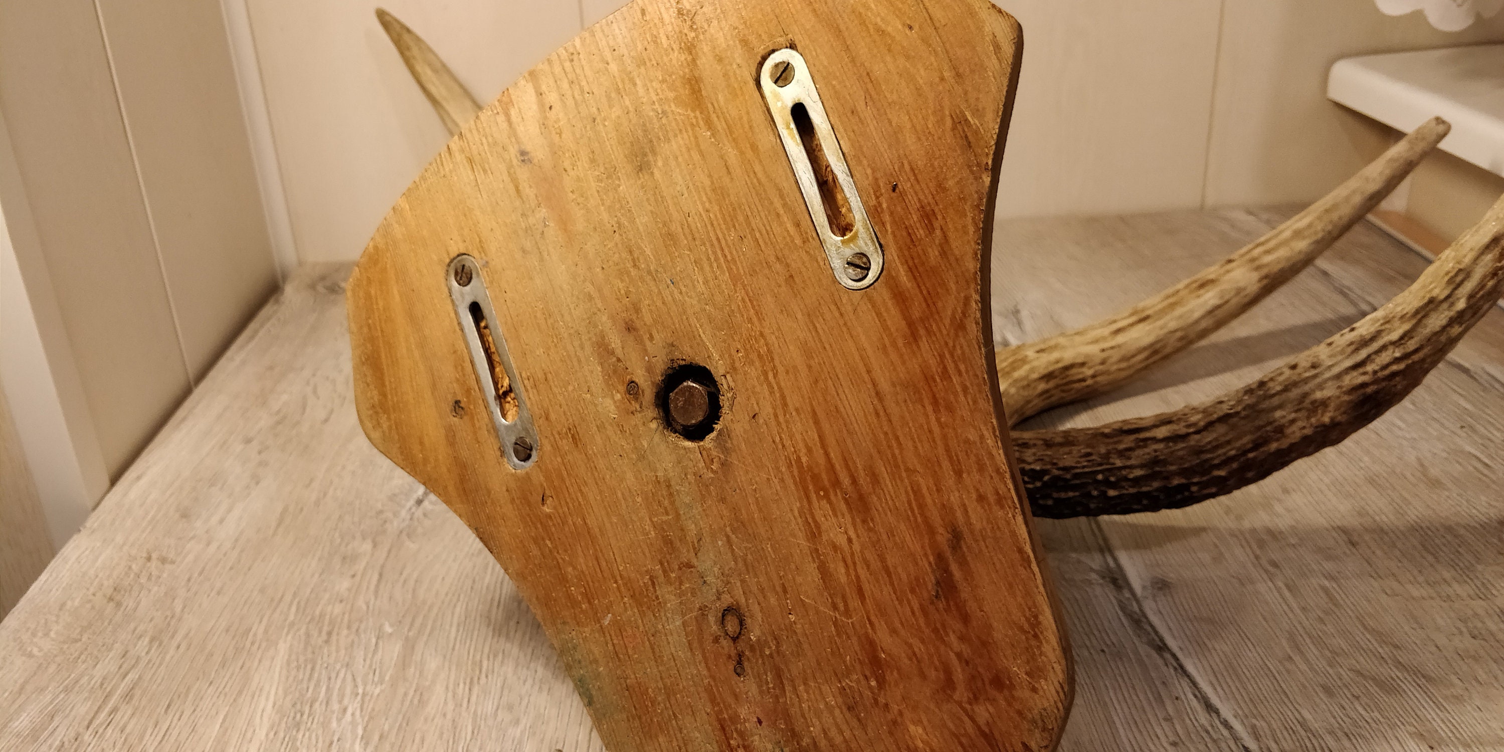 Large Elk Horns. Natural Moose Horns. Vintage Animal Horns. Etsy