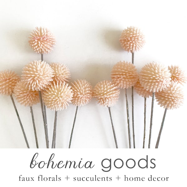 Dried Billy Balls Etsy