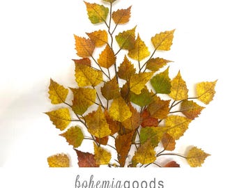 May include: A branch with autumn-colored leaves in shades of yellow, orange, green, and brown. Below the branch, the text reads: bohemiagoods, modern rustic + wedding supplies + florals. The leaves are serrated and arranged along thin dark stems.