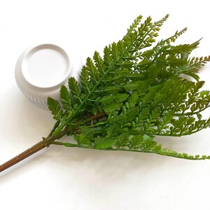 May include: A single stem of artificial green fern with a brown wire stem. The fern is arranged in a white ceramic pot.