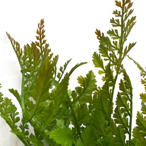 May include: A bunch of green artificial fern sprigs with brown tips. The ferns are arranged in a cluster and have a natural, realistic look.