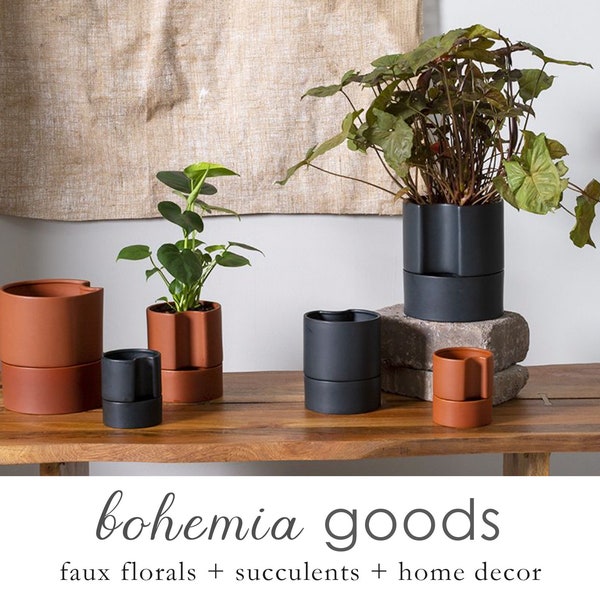 Modern Terra Cotta Self Watering Planter: Indoor Houseplant Pot