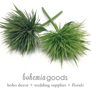 Decorative grass, grass plant, moss plant, mossy grass, grass pick, faux grass, artificial grass