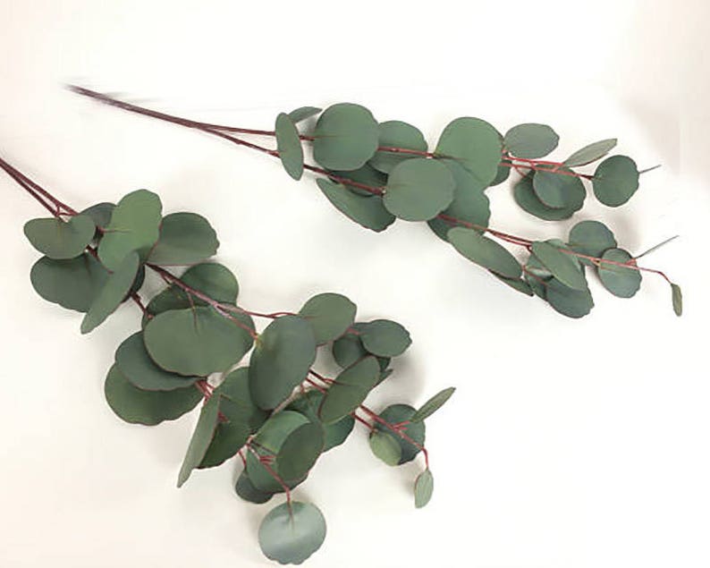 Eucalyptus, Silver Dollar Eucalyptus Stem, Faux Eucalyptus, Eucalyptus Stem, Eucalyptus arrangement, Eucalyptus Wedding, Floral Supply image 8