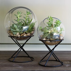 Globe glass terrarium, indoor planters, terrarium centerpiece, plant stand, succulent planter, modern planter, glass on stand image 5