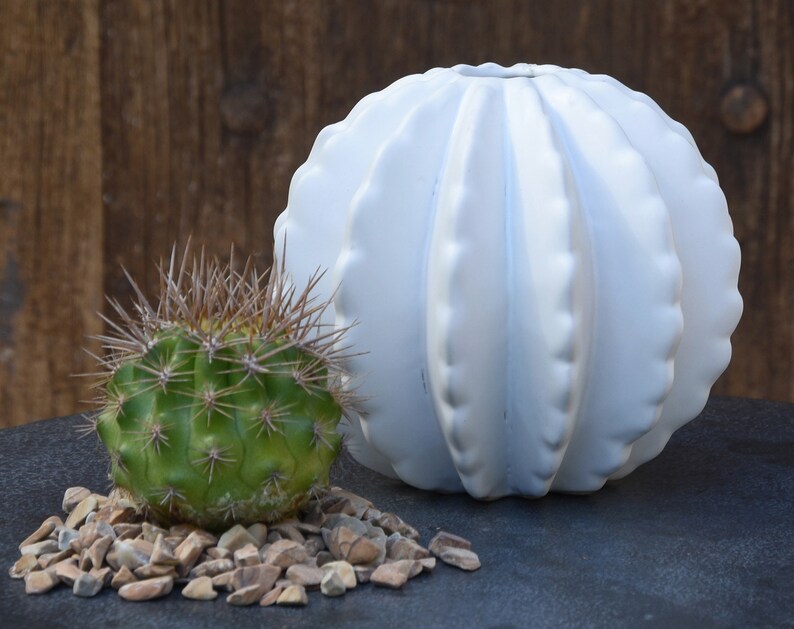 2 sizes White Cactus Vase Cactus Bud Vase White Vase Etsy