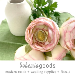 Ranunculus, pale pink, ranunculus flowers, pink ranunculus